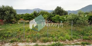 Οικόπεδο 1.000 τ.μ. για ενοικίαση, Αχαΐα, Πάτρα-thumb-12