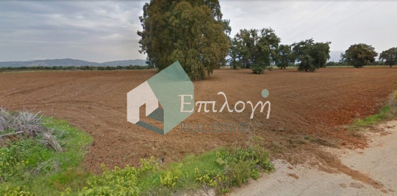 Αγροτεμάχια 50.000 τ.μ. προς πώληση, Κουνελαίικα