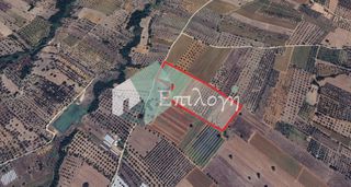 Αγροτεμάχια 50.000 τ.μ. για πώληση
