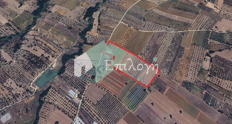 Parcel 50.000 sqm for sale, Achaia, Olenia