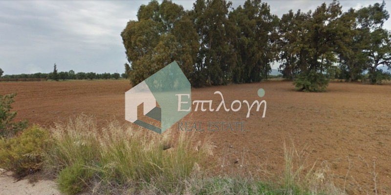 Αγροτεμάχια 50.000 τ.μ. προς πώληση, Κουνελαίικα