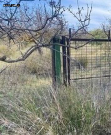 Land plot 2.177 sqm for sale, Athens - East, Koropi