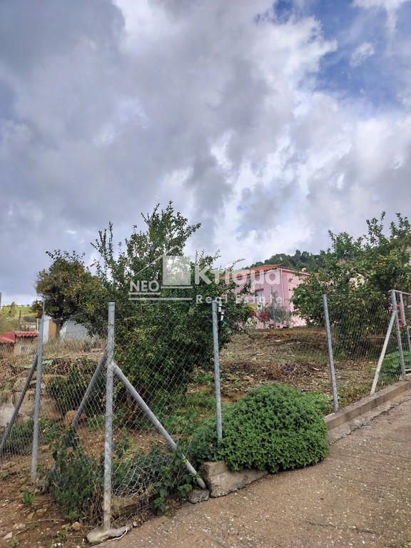 Οικόπεδο 217 τ.μ. προς πώληση, Επιτάλιο