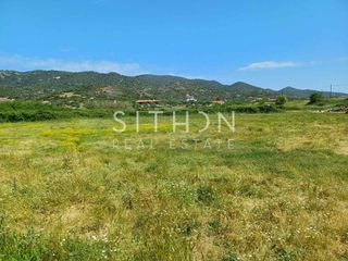 Αγροτεμάχια 1.655 τ.μ. για πώληση