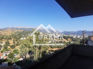 Κτίριο 300 τ.μ. προς πώληση, Δασσύλιο-thumb-6