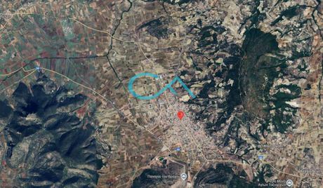 Οικόπεδο 300.000τ.μ. για πώληση-Νεμέα » Κέντρο
