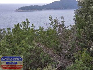 Αγροτεμάχια 1.250,88 τ.μ. προς πώληση, Κοίνυρα-thumb-3