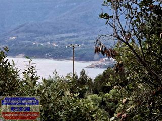 Αγροτεμάχια 1.250,88 τ.μ. προς πώληση, Κοίνυρα-thumb-7