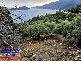 Αγροτεμάχια 1.250,88 τ.μ. για πώληση