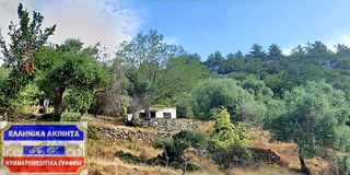 Αγροτεμάχια 4.741,96 τ.μ. για πώληση, Ν. Καβάλας, Θάσος-thumb-11