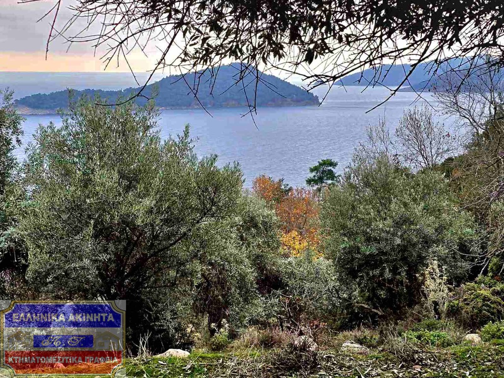 Αγροτεμάχια 4.741,96 τ.μ. προς πώληση, Κοίνυρα