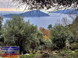 Αγροτεμάχια 4.741,96 τ.μ. για πώληση, Ν. Καβάλας, Θάσος-thumb-4