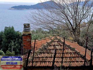 Αγροτεμάχια 4.741,96 τ.μ. για πώληση, Ν. Καβάλας, Θάσος-thumb-6