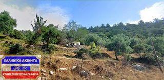 Αγροτεμάχια 4.741,96 τ.μ. για πώληση, Ν. Καβάλας, Θάσος-thumb-12
