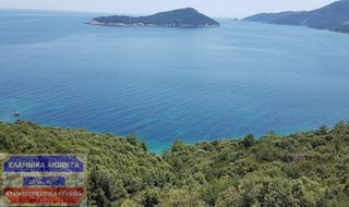 Αγροτεμάχια 4.741,96 τ.μ. για πώληση