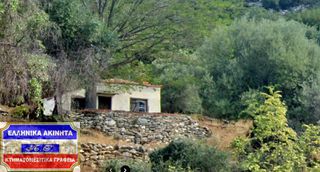Αγροτεμάχια 4.741,96 τ.μ. για πώληση, Ν. Καβάλας, Θάσος-thumb-10