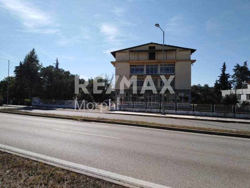 Επιχειρηματικό κτίριο 1.480 τ.μ. πρός ενοικίαση, Ν. Ροδόπης, Κομοτηνή