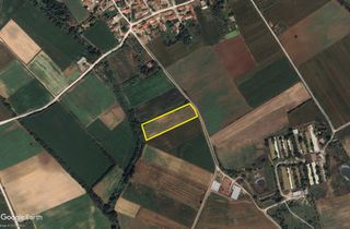 Αγροτεμάχια 7.500 τ.μ. για πώληση, Ν. Ξάνθης, Τοπείρο-thumb-4