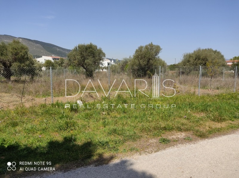Οικόπεδο 760 τ.μ. πρός πώληση, Αθήνα - Ανατολικά Προάστια, Παιανία