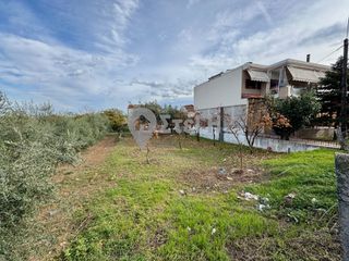 Οικόπεδο 612 τ.μ. προς πώληση, Κοπανός-thumb-3