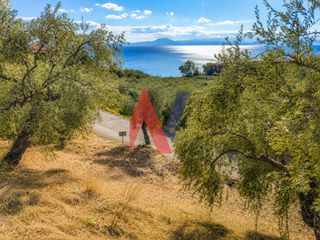 Οικόπεδο 2.458 τ.μ. για πώληση
