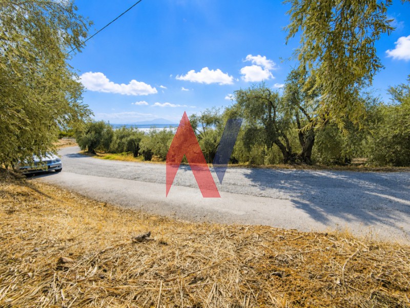 Οικόπεδο 2.458 τ.μ. πρός πώληση, Μαγνησία, Αφέτες
