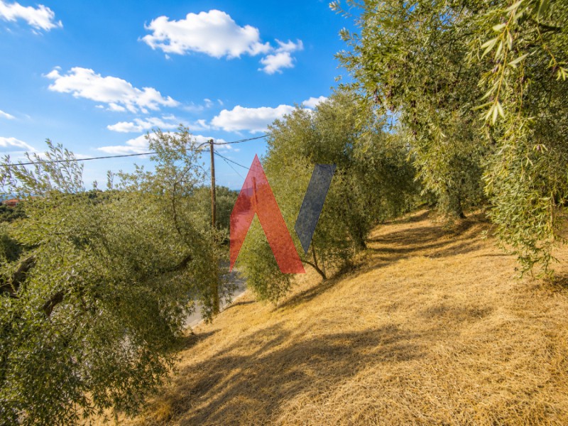 Οικόπεδο 2.458 τ.μ. πρός πώληση, Μαγνησία, Αφέτες
