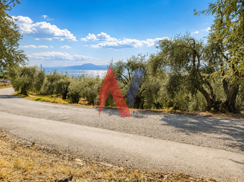 Οικόπεδο 2.458 τ.μ. πρός πώληση, Μαγνησία, Αφέτες