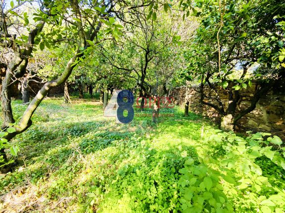 Κτίριο 1.565 τ.μ. για πώληση, Ν. Χίου, Χίος
