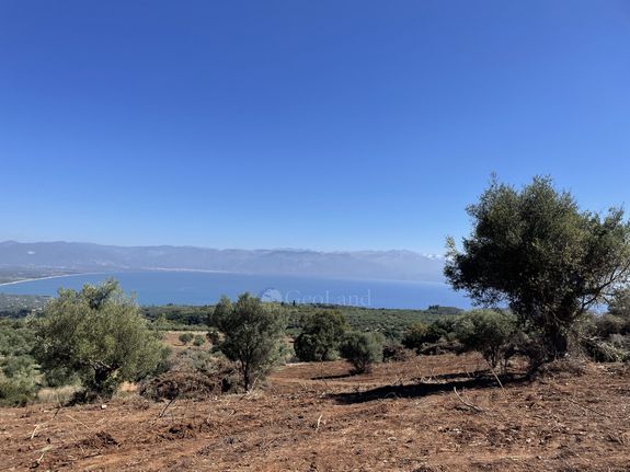 Αγροτεμάχια 80.000 τ.μ. για πώληση, Μεσσηνία, Πεταλίδι