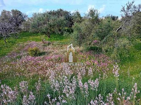 Land plot 1.800sqm for sale-Aegina » Kipseli