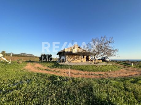 Μονοκατοικία 245τ.μ. για πώληση-Μαρώνεια