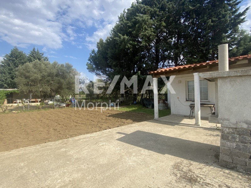 Αγροτεμάχια 280 τ.μ. πρός πώληση, Ν. Ροδόπης, Κομοτηνή