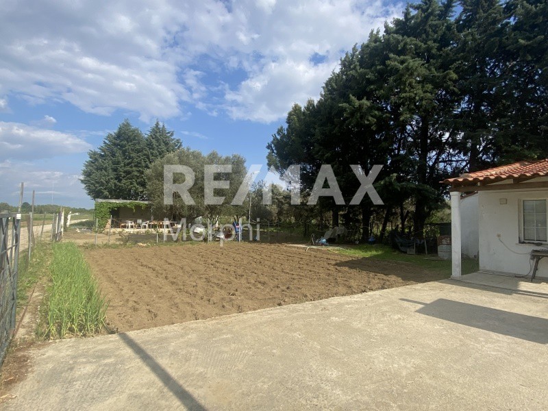 Αγροτεμάχια 280 τ.μ. πρός πώληση, Ν. Ροδόπης, Κομοτηνή