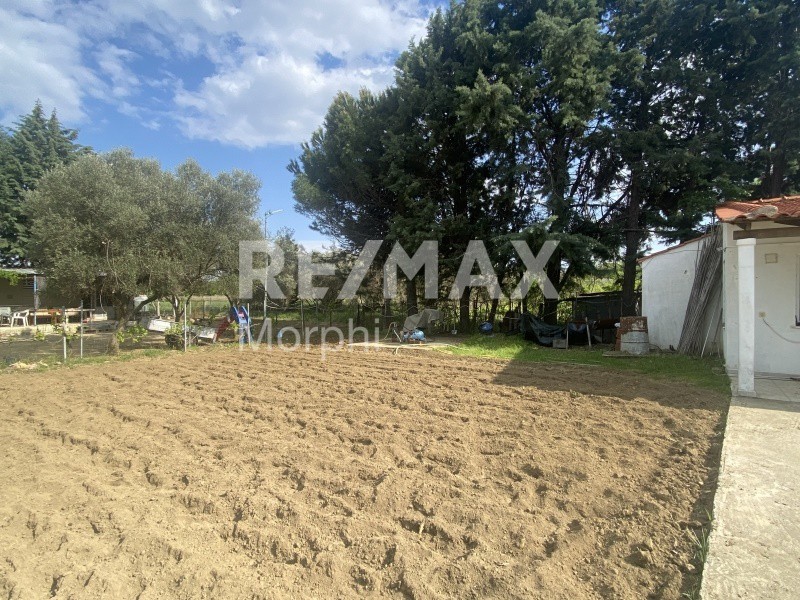 Αγροτεμάχια 280 τ.μ. πρός πώληση, Ν. Ροδόπης, Κομοτηνή