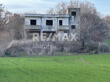 Αγροτεμάχια 10.100 τ.μ. για πώληση