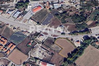 Αγροτεμάχια 10.000 τ.μ. για πώληση