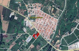 Αγροτεμάχια 6.200 τ.μ. για πώληση
