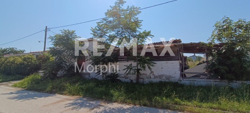 Μονοκατοικία 106 τ.μ. πρός πώληση, Ν. Ροδόπης, Σάπες