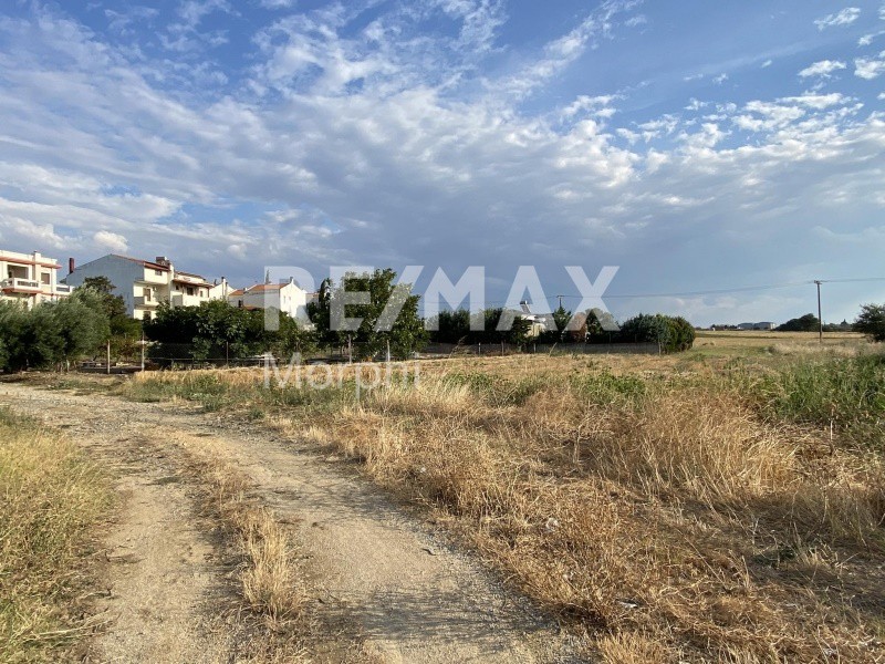 Οικόπεδο 700 τ.μ. πρός πώληση, Ν. Ροδόπης, Κομοτηνή