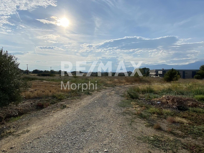 Οικόπεδο 700 τ.μ. πρός πώληση, Ν. Ροδόπης, Κομοτηνή