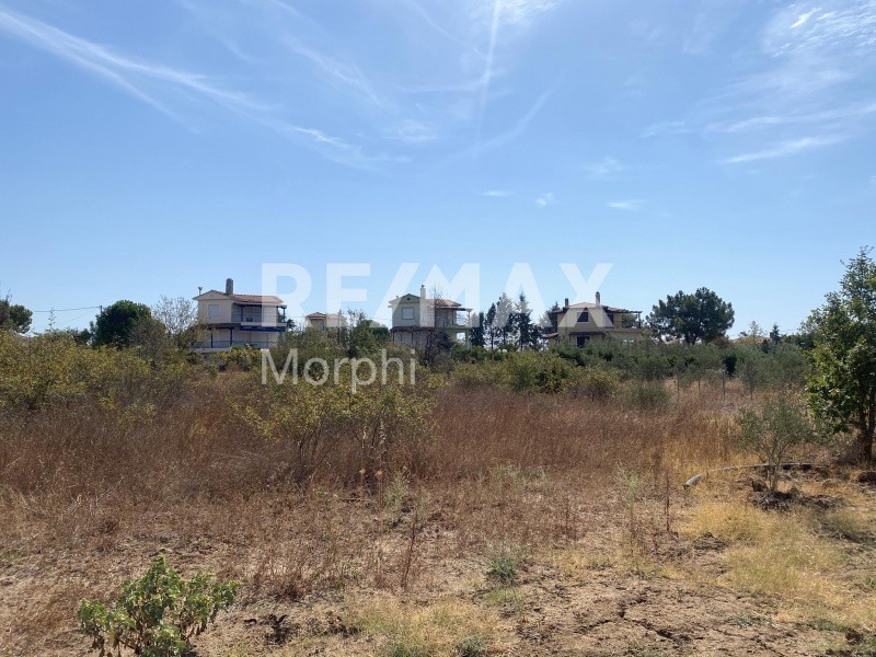 Οικόπεδο 1.625 τ.μ. πρός πώληση, Ν. Ροδόπης, Αίγειρος