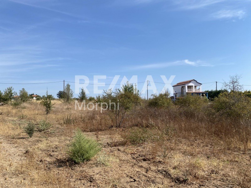 Οικόπεδο 1.625 τ.μ. πρός πώληση, Ν. Ροδόπης, Αίγειρος