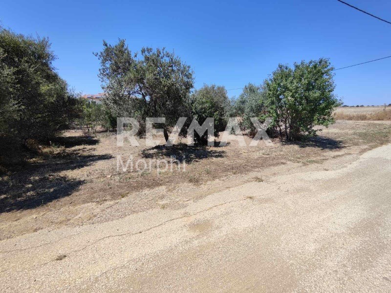 Οικόπεδο 1.219 τ.μ. πρός πώληση, Ν. Ροδόπης, Μαρώνεια