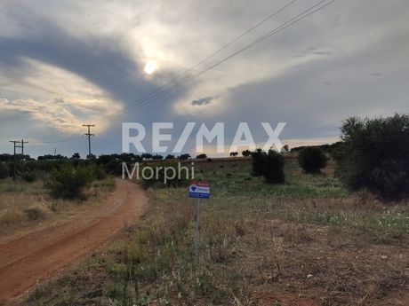 Αγροτεμάχια 3.402τ.μ. για πώληση-Μαρώνεια