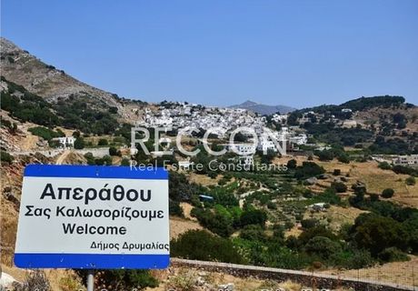 Οικόπεδο 10.500τ.μ. για πώληση-Νάξος - δρυμαλία » Δανακός