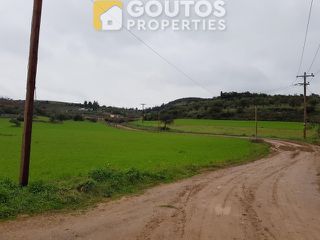 Αγροτεμάχια 16.400 τ.μ. για πώληση