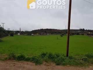 Αγροτεμάχια 16.400 τ.μ. για ενοικίαση, Βοιωτία, Θήβα-thumb-1