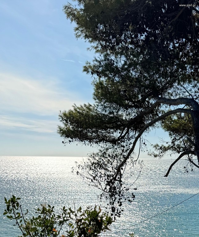 Οικόπεδο 10.700 τ.μ. πρός πώληση, Ν. Κεφαλονιάς, Κεφαλονιά