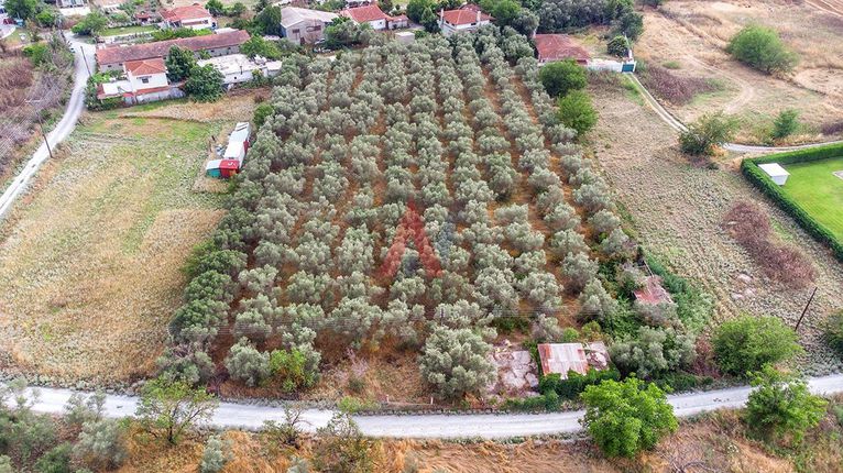 Αγροτεμάχια 7.000 τ.μ. για πώληση, Θεσσαλονίκη - Περιφ/Κοί Δήμοι, Θέρμη